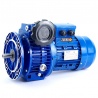 Motor trifásico 220/380V 0,37 KW / 0,5 CV con variador mecánico