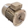 Motor trifásico 380 V 15 KW / 20 CV 3000 RPM B5
