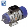 Motor autofrenante 1,1 kw trifásico patas B3 1.500 rpm MGM
