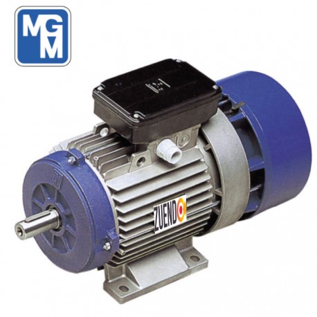 Motor autofrenante 0,37 kw trifásico patas B3 3.000 rpm