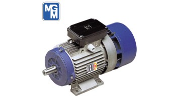 Motor autofrenante 1,1 kw trifásico patas B3 3.000 rpm MGM