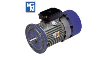 Motor autofrenante 0,75 kw trifásico brida B5/B14 3.000 rpm MGM